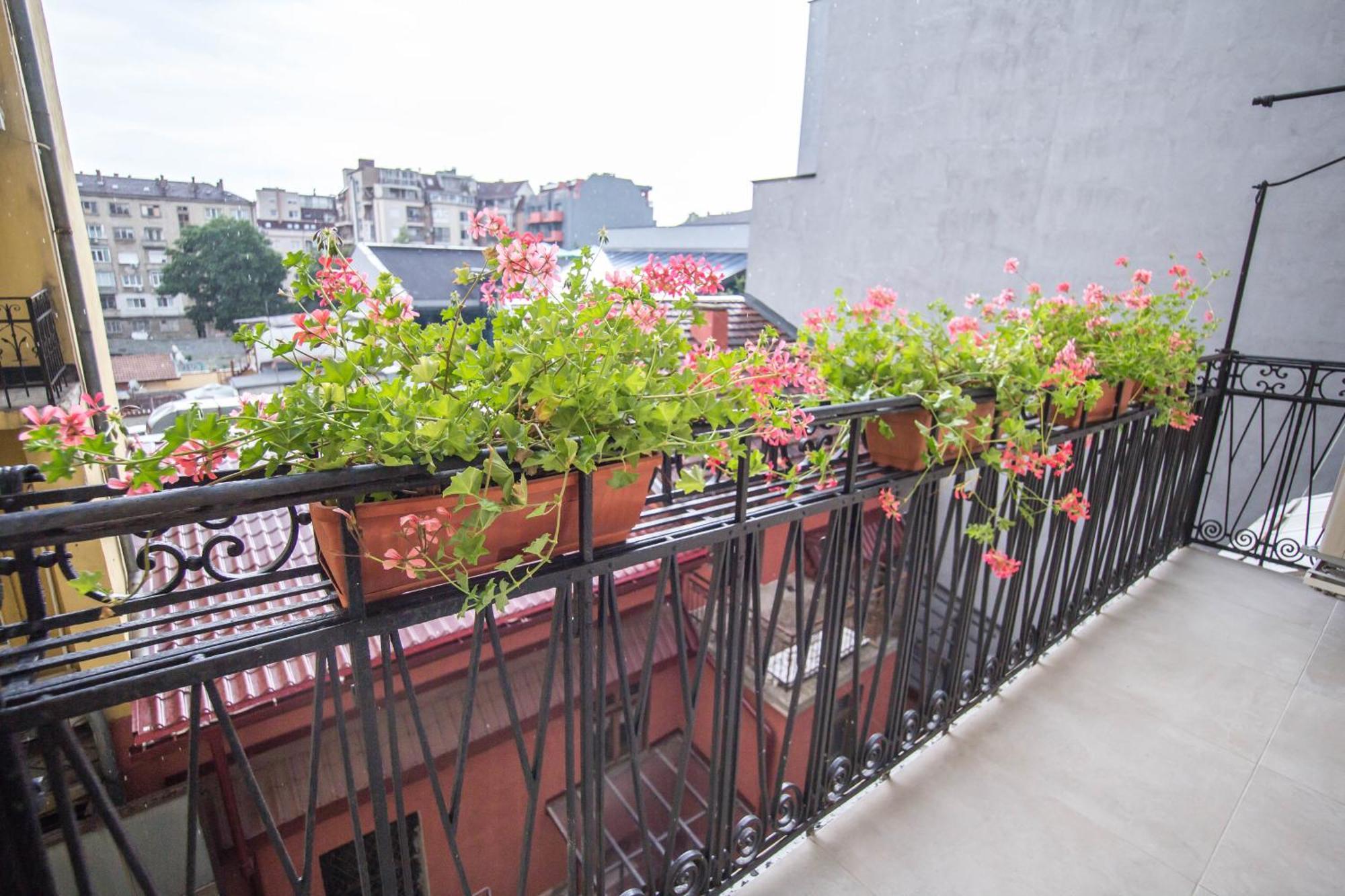 סופיה Lion'S Bridge Boutique 2Bdrm Apt, Top Center Gem מראה חיצוני תמונה